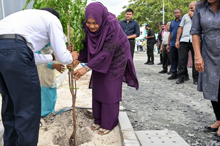 ދަނޑުވެރިކަމުގައި ޞިއްޙީ ރައްކާތެރިކަމުގެ މިންގަނޑުތައް ހިފެހެއްޓުމަށް ފަސްޓުލޭޑީ މެޑަމް ސާޖިދާ އިލްތިމާސްކުރައްވައިފި