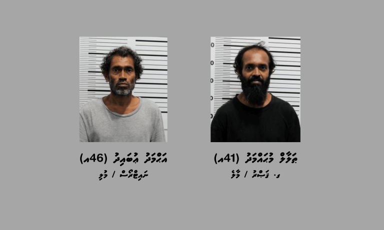 ތޫނު ހަތިޔާރުން ބިރުދައްކައި ފޭރުނު މައްސަލައެއްގައި ދެ މީހަކު ހައްޔަރުކޮށްފި